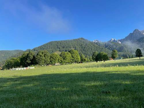 Outdoor Pictures 23