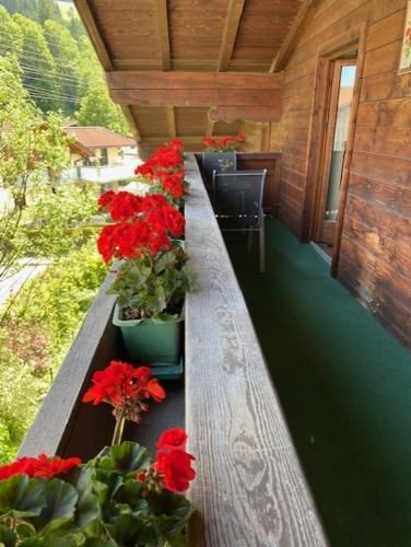Outdoor Pictures 7