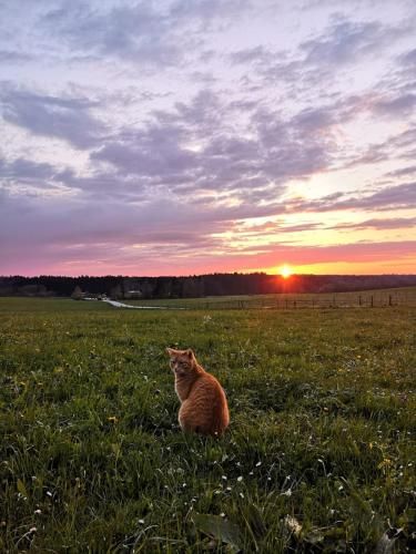 Outdoor Pictures 24