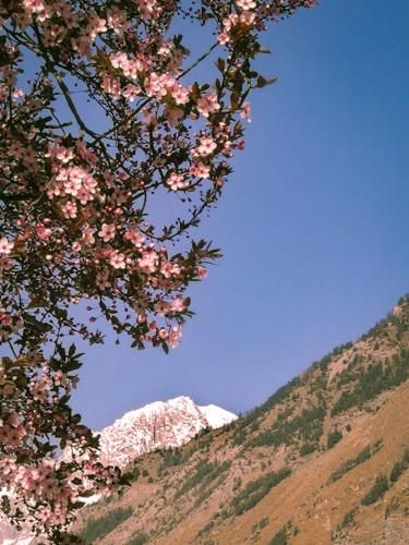 Outdoor Pictures 24