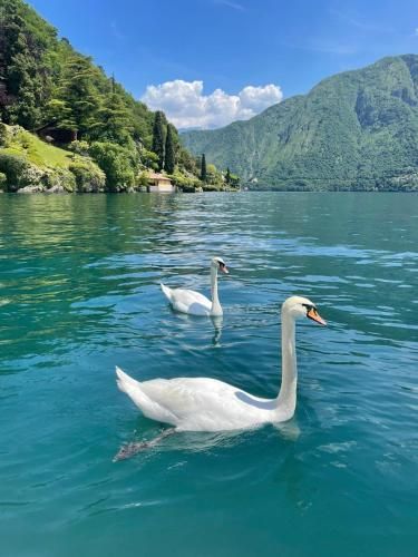 Outdoor Pictures 7