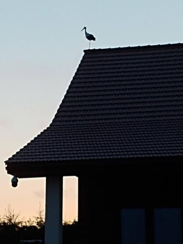 Outdoor Pictures 13