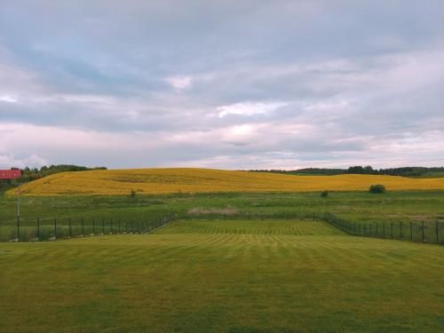 Outdoor Pictures 15