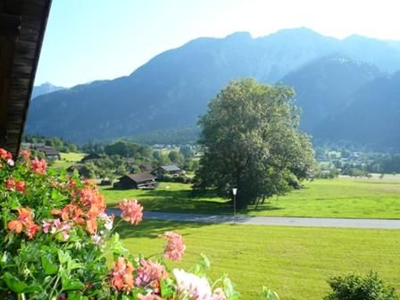 Outdoor Pictures 19