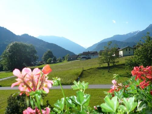 Outdoor Pictures 15