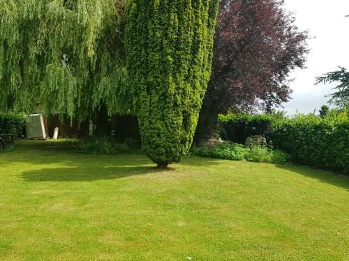 Outdoor Pictures 10