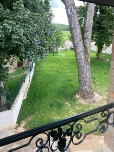 Outdoor Pictures 23