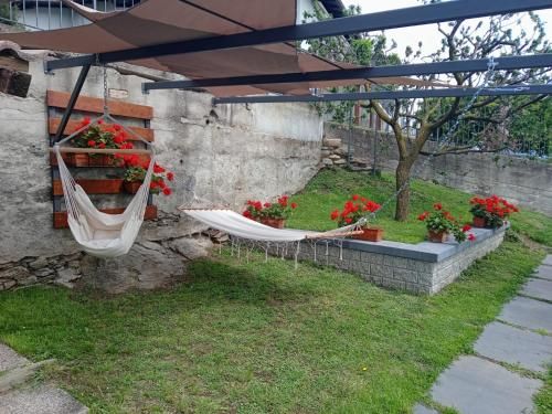 Outdoor Pictures 10