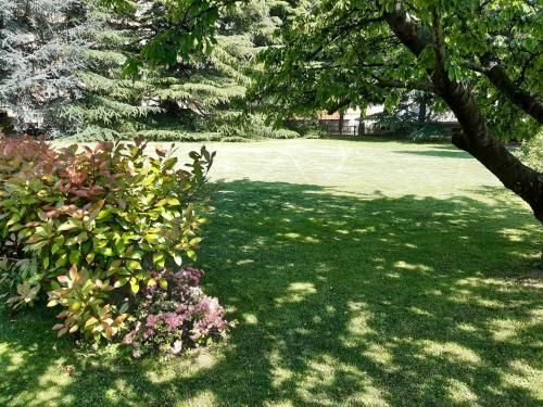 Outdoor Pictures 7