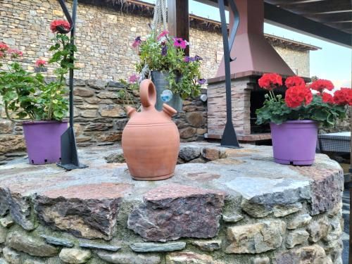 Outdoor Pictures 1