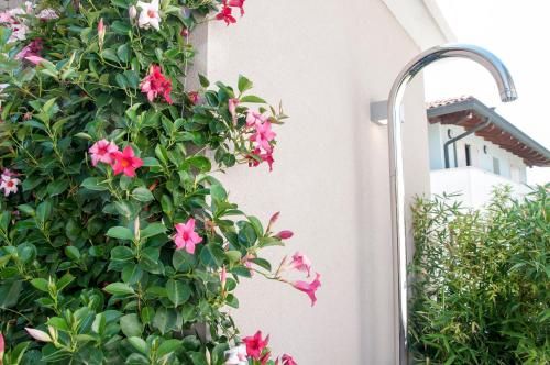 Outdoor Pictures 22