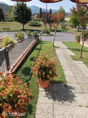 Outdoor Pictures 5