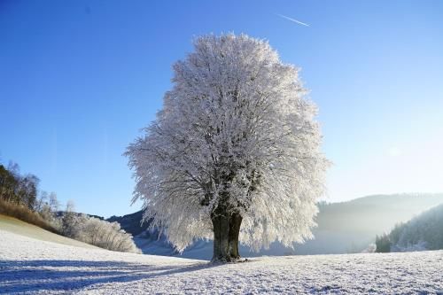 Outdoor Pictures 15
