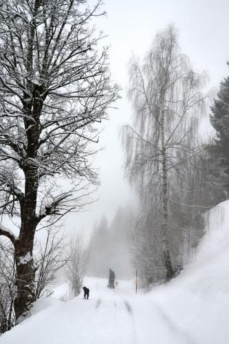 Outdoor Pictures 20