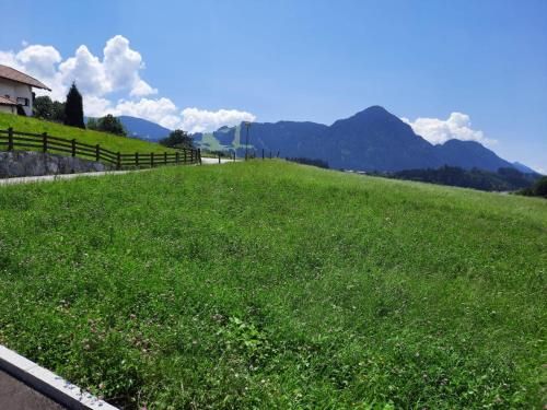 Outdoor Pictures 2