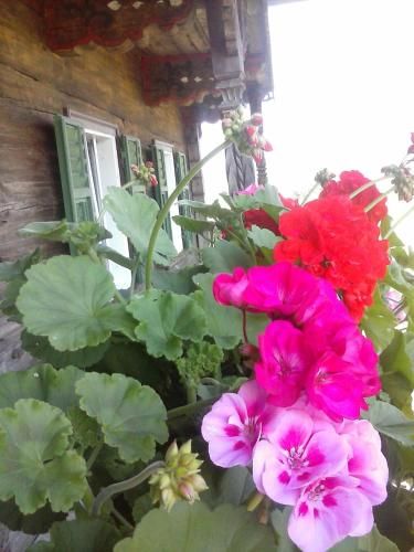 Outdoor Pictures 4