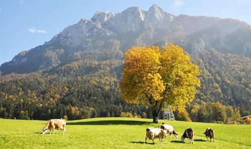 Outdoor Pictures 22
