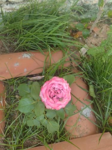 Outdoor Pictures 16