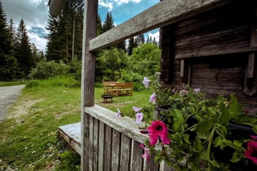 Outdoor Pictures 9