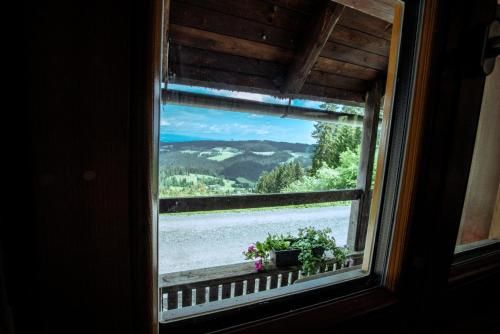 Outdoor Pictures 21