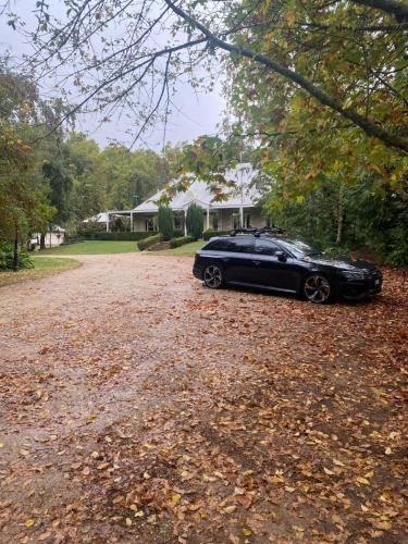 Outdoor Pictures 15