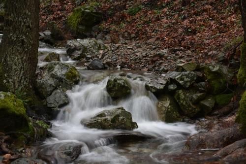 Outdoor Pictures 15