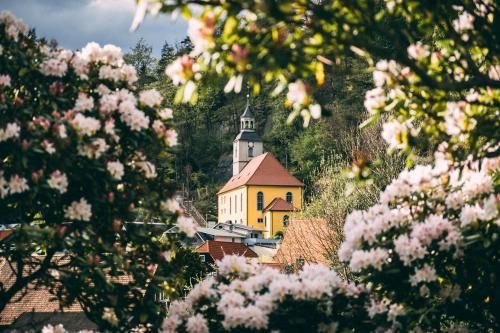 Outdoor Pictures 9