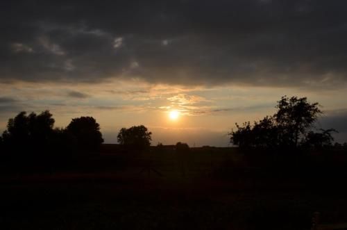 Outdoor Pictures 13