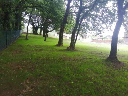 Outdoor Pictures 2