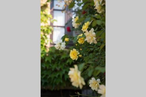 Outdoor Pictures 6