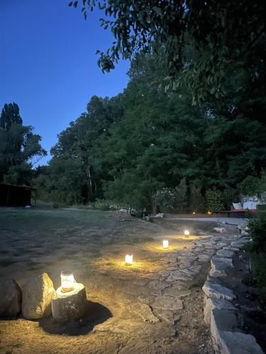Outdoor Pictures 7