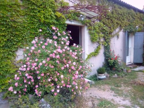 Outdoor Pictures 10