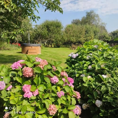Outdoor Pictures 13