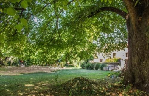 Outdoor Pictures 21
