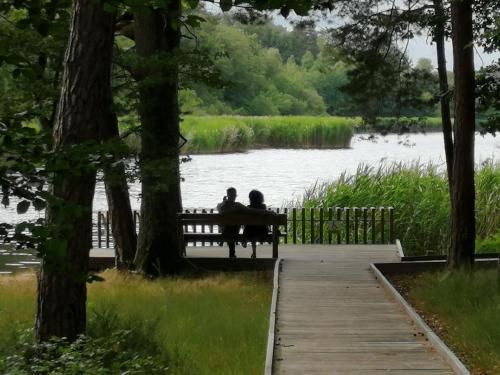 Outdoor Pictures 24