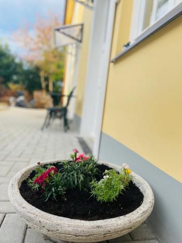 Outdoor Pictures 17
