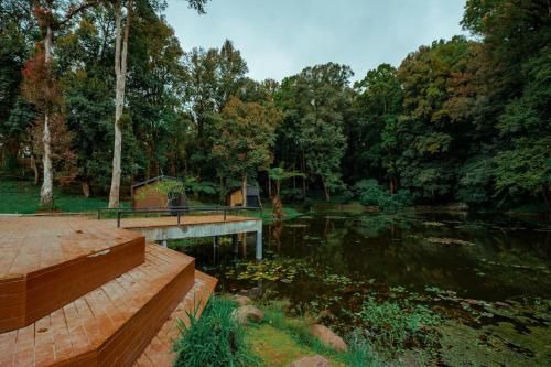 Outdoor Pictures 15