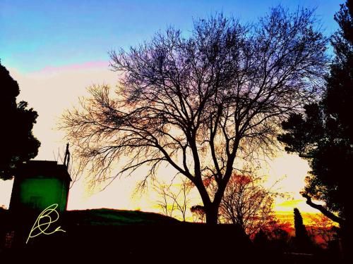 Outdoor Pictures 9