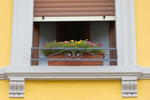 Outdoor Pictures 6