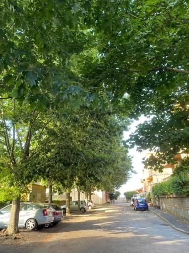 Outdoor Pictures 10