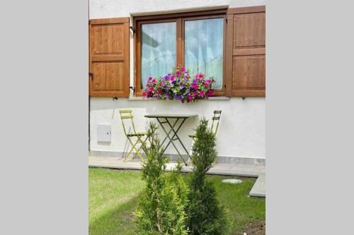 Outdoor Pictures 24