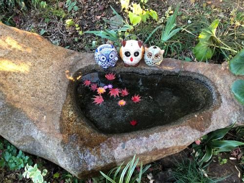 Outdoor Pictures 7