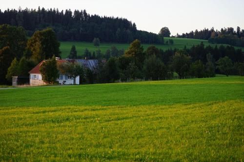Outdoor Pictures 10
