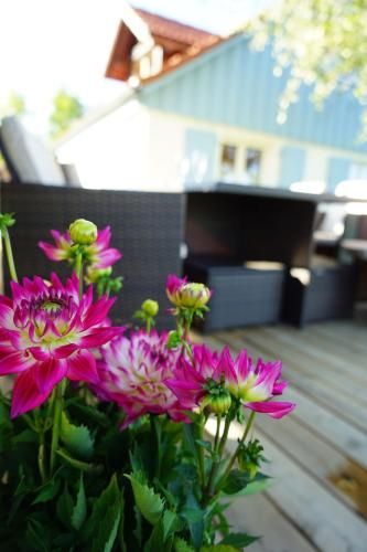 Outdoor Pictures 15