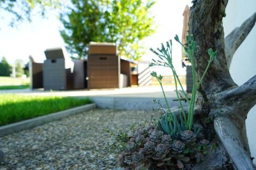 Outdoor Pictures 23