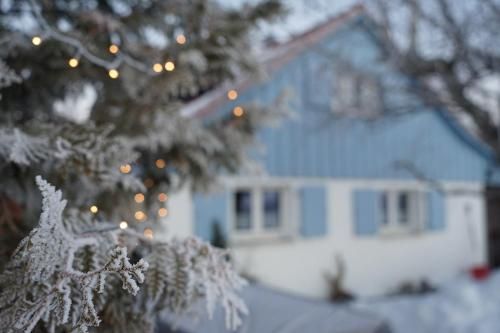 Outdoor Pictures 2