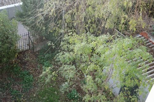 Outdoor Pictures 3