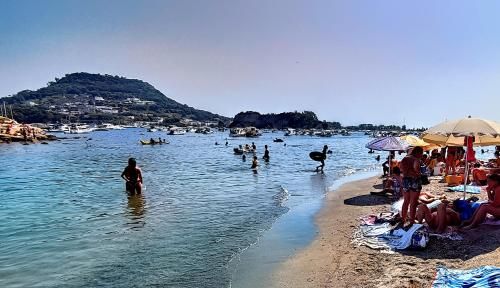 Appartamento con incantevole panorama