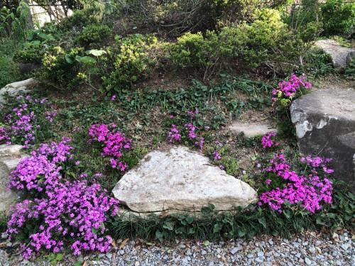 Outdoor Pictures 6