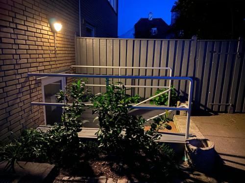 Outdoor Pictures 6